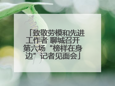 致敬劳模和先进工作者 聊城召开第六场“榜样在身边”记者见面会
