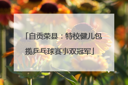 自贡荣县：特校健儿包揽乒乓球赛事双冠军