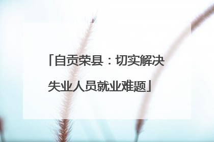 自贡荣县：切实解决失业人员就业难题