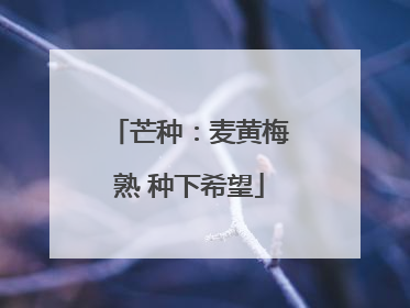 芒种：麦黄梅熟 种下希望