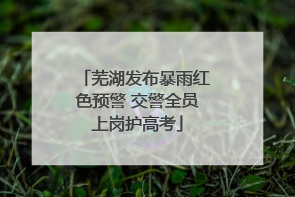 芜湖发布暴雨红色预警 交警全员上岗护高考