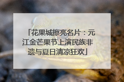花果城擦亮名片：元江金芒果节上演民族非遗与夏日清凉狂欢