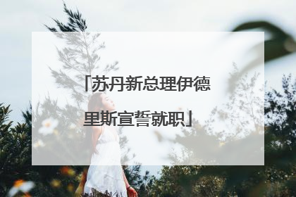 苏丹新总理伊德里斯宣誓就职