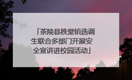 茶陵县秩堂镇选调生联合多部门开展安全宣讲进校园活动