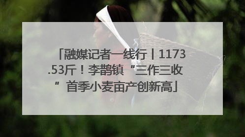 融媒记者一线行丨1173.53斤！李鹊镇“三作三收”首季小麦亩产创新高