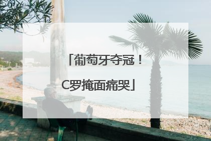 葡萄牙夺冠！C罗掩面痛哭
