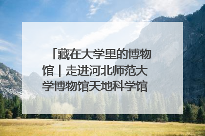 藏在大学里的博物馆｜走进河北师范大学博物馆天地科学馆：在校园里赴一场“宇宙之约”