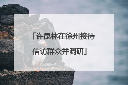 许昆林在徐州接待信访群众并调研