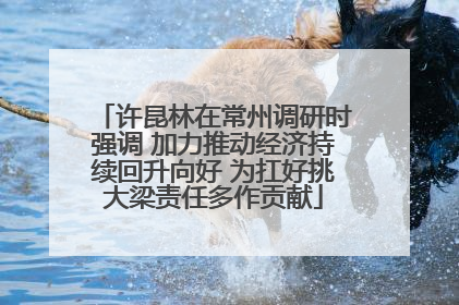 许昆林在常州调研时强调 加力推动经济持续回升向好 为扛好挑大梁责任多作贡献