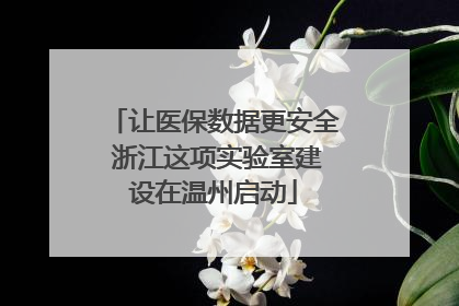 让医保数据更安全 浙江这项实验室建设在温州启动