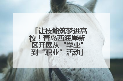 让技能筑梦进高校！青岛西海岸新区开展从“学业”到“职业”活动