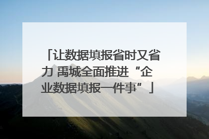 让数据填报省时又省力 禹城全面推进“企业数据填报一件事”