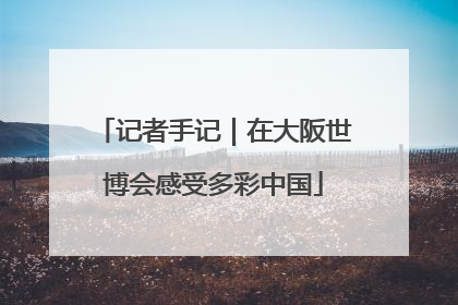 记者手记｜在大阪世博会感受多彩中国
