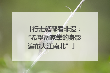 行走赣鄱看非遗：“希望岳家拳的身影遍布大江南北”