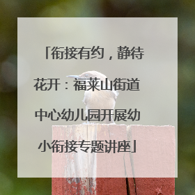 衔接有约，静待花开：福莱山街道中心幼儿园开展幼小衔接专题讲座