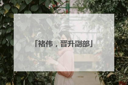 褚伟，晋升副部