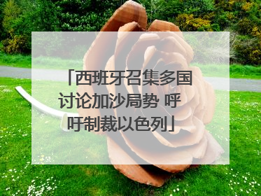 西班牙召集多国讨论加沙局势 呼吁制裁以色列
