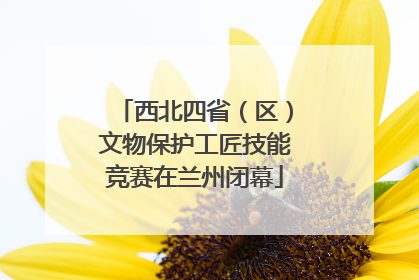 西北四省（区）文物保护工匠技能竞赛在兰州闭幕
