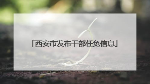 西安市发布干部任免信息