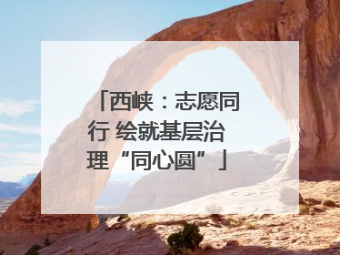 西峡：志愿同行 绘就基层治理“同心圆”