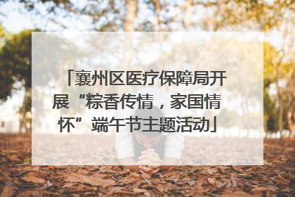 襄州区医疗保障局开展“粽香传情，家国情怀”端午节主题活动