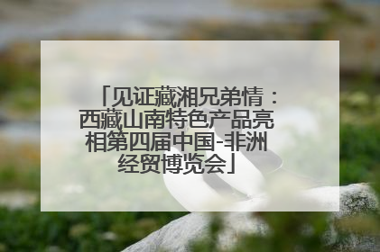 见证藏湘兄弟情：西藏山南特色产品亮相第四届中国-非洲经贸博览会