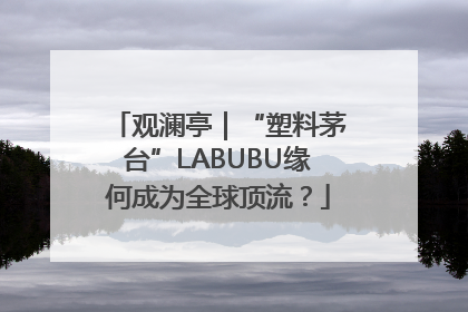 观澜亭｜“塑料茅台”LABUBU缘何成为全球顶流？