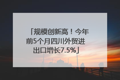 规模创新高！今年前5个月四川外贸进出口增长7.5%