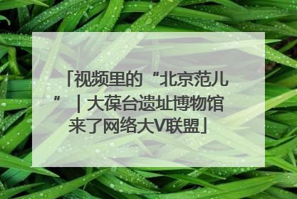 视频里的“北京范儿”｜大葆台遗址博物馆来了网络大V联盟