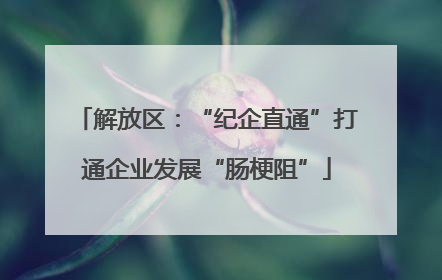 解放区：“纪企直通”打通企业发展“肠梗阻”
