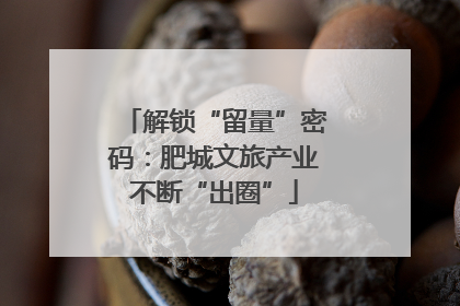 解锁“留量”密码：肥城文旅产业不断“出圈”