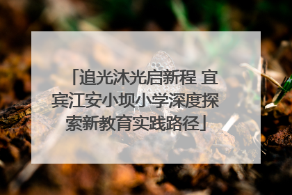 追光沐光启新程 宜宾江安小坝小学深度探索新教育实践路径