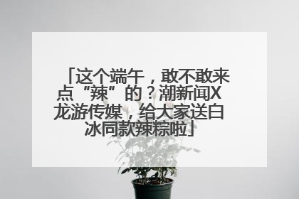这个端午，敢不敢来点“辣”的？潮新闻X龙游传媒，给大家送白冰同款辣粽啦