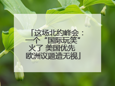 这场北约峰会：一个“国际玩笑”火了 美国优先 欧洲议题遭无视