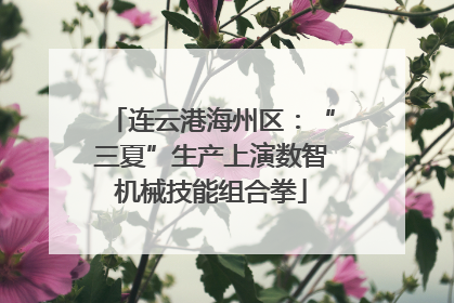 连云港海州区：“三夏”生产上演数智机械技能组合拳