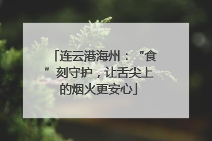 连云港海州：“食”刻守护，让舌尖上的烟火更安心