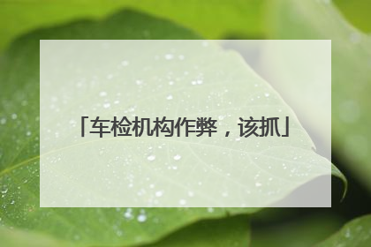 车检机构作弊，该抓