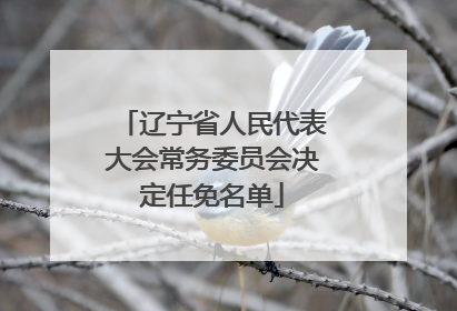 辽宁省人民代表大会常务委员会决定任免名单