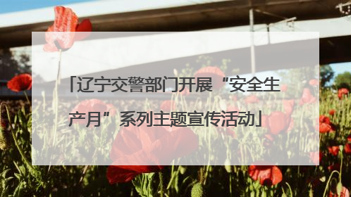 辽宁交警部门开展“安全生产月”系列主题宣传活动