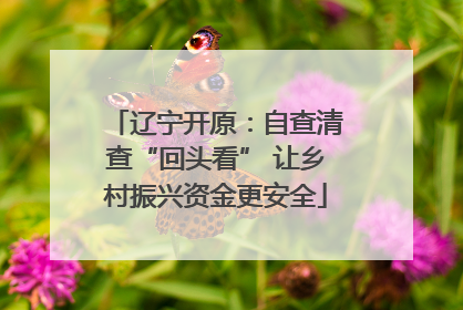辽宁开原：自查清查“回头看” 让乡村振兴资金更安全