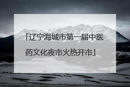 辽宁海城市第一届中医药文化夜市火热开市