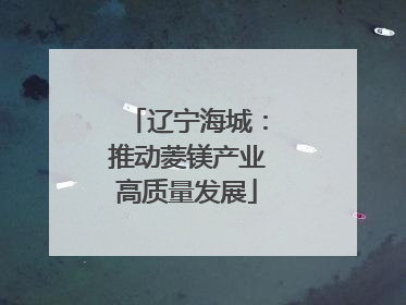 辽宁海城：推动菱镁产业高质量发展