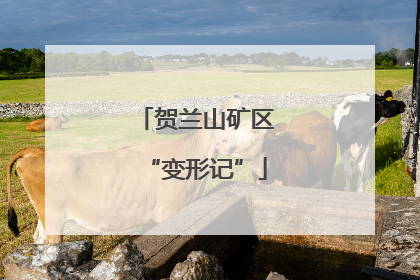 贺兰山矿区“变形记”