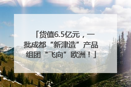货值6.5亿元，一批成都“新津造”产品组团“飞向”欧洲！