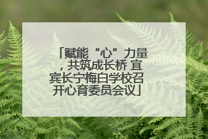 赋能“心”力量，共筑成长桥 宜宾长宁梅白学校召开心育委员会议