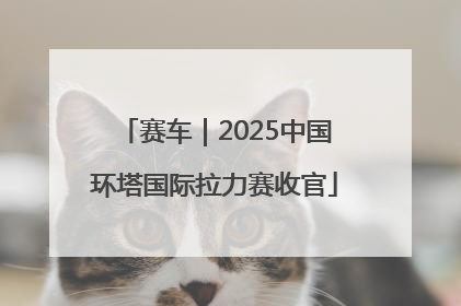 赛车｜2025中国环塔国际拉力赛收官