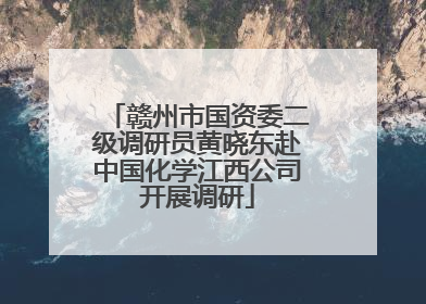 赣州市国资委二级调研员黄晓东赴中国化学江西公司开展调研