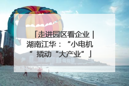 走进园区看企业｜湖南江华：“小电机”撬动“大产业”