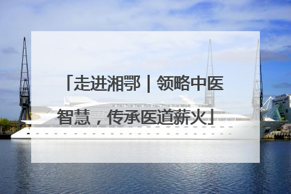 走进湘鄂｜领略中医智慧，传承医道薪火