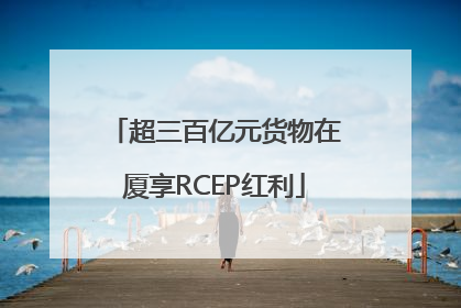 超三百亿元货物在厦享RCEP红利